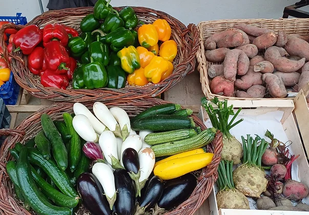 maraichage, Un étal de marché avec des paniers de poivrons, courgettes, aubergines, et patates douces à Bauzy près de Blois dans le Loir-et-Cher 41