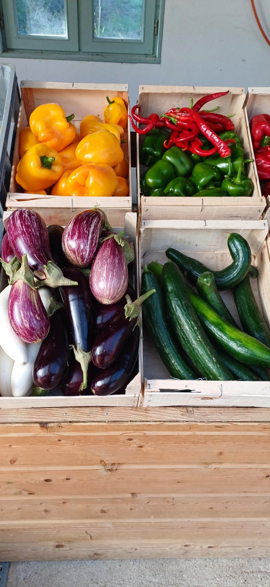 Citrouille et l&eacute;gumes frais