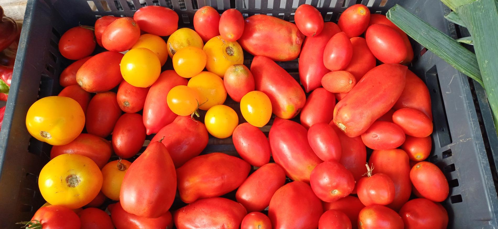 Citrouille et l&eacute;gumes frais