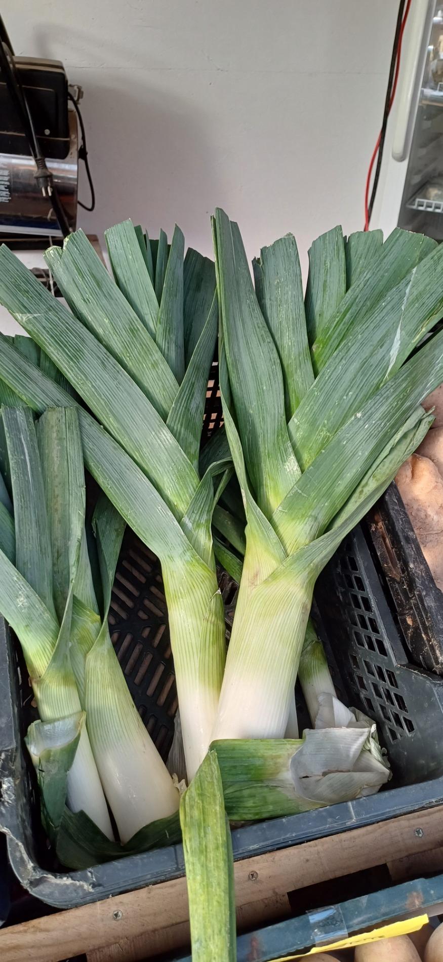 Citrouille et l&eacute;gumes frais