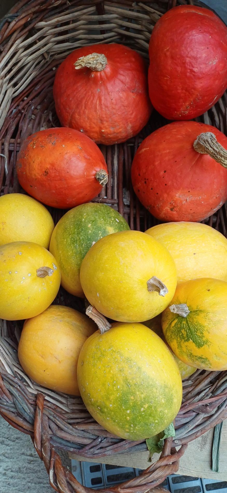 Citrouille et l&eacute;gumes frais