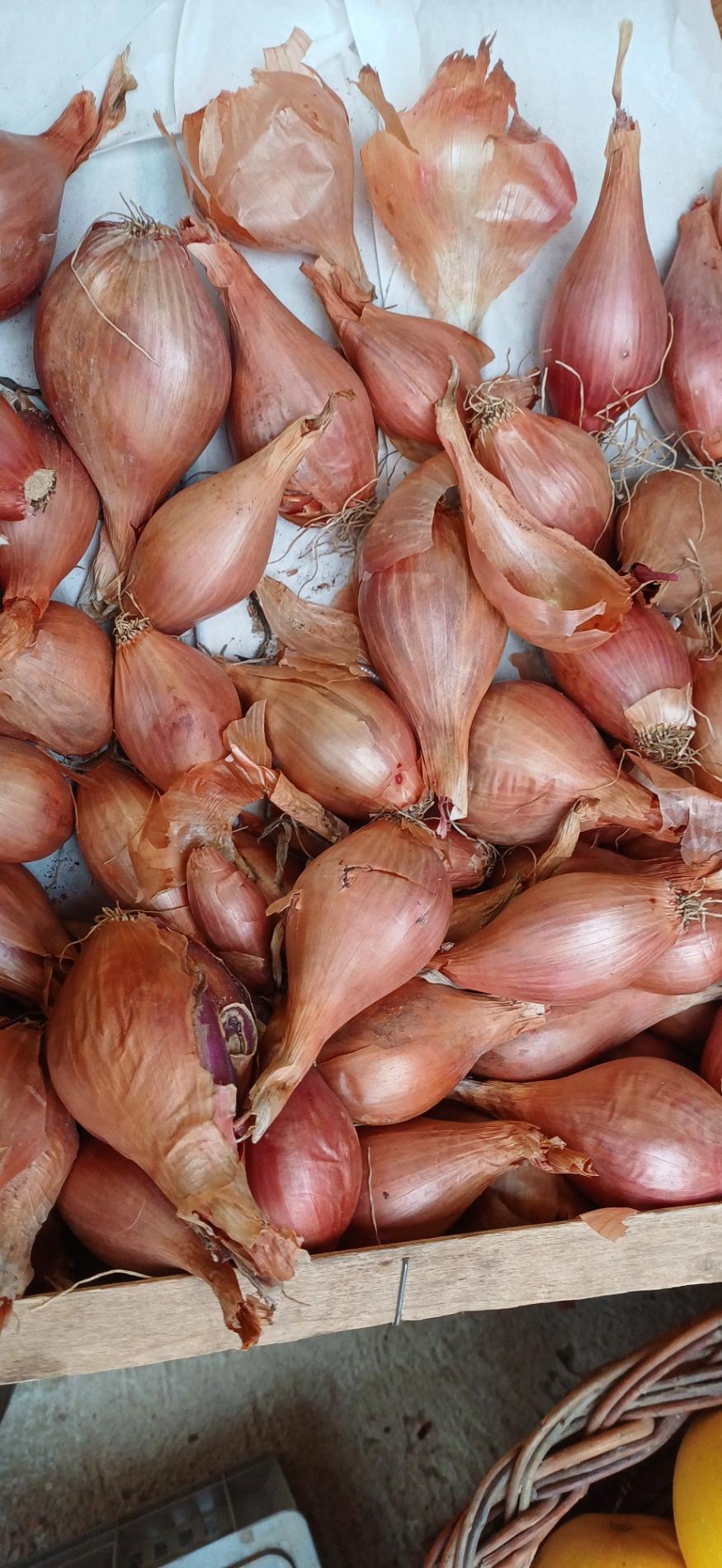 Citrouille et l&eacute;gumes frais