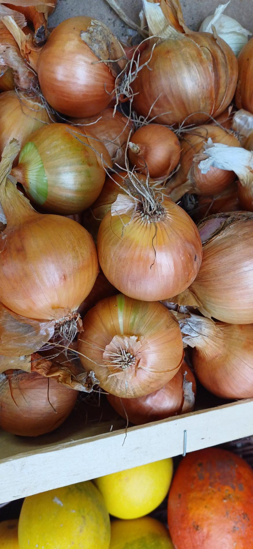 Citrouille et l&eacute;gumes frais