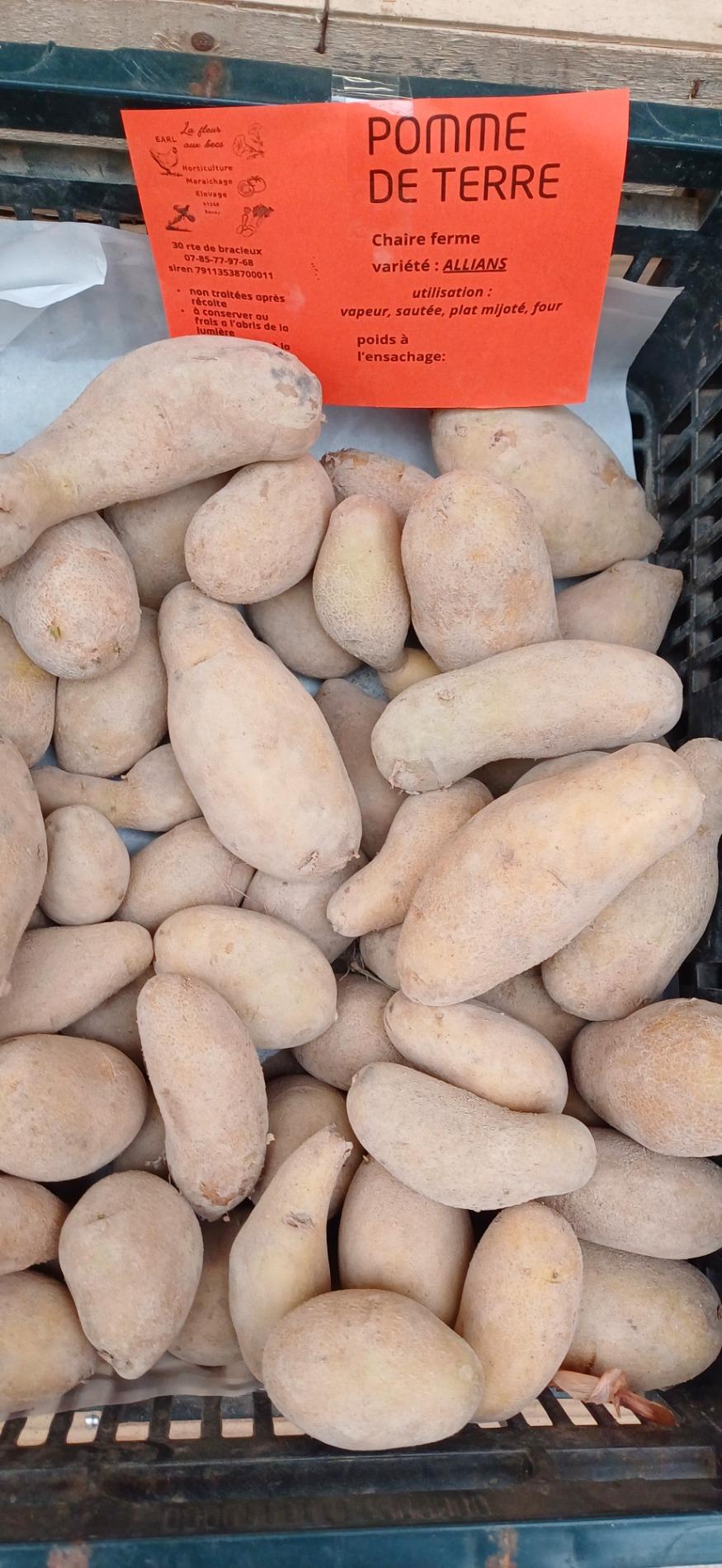 Citrouille et l&eacute;gumes frais