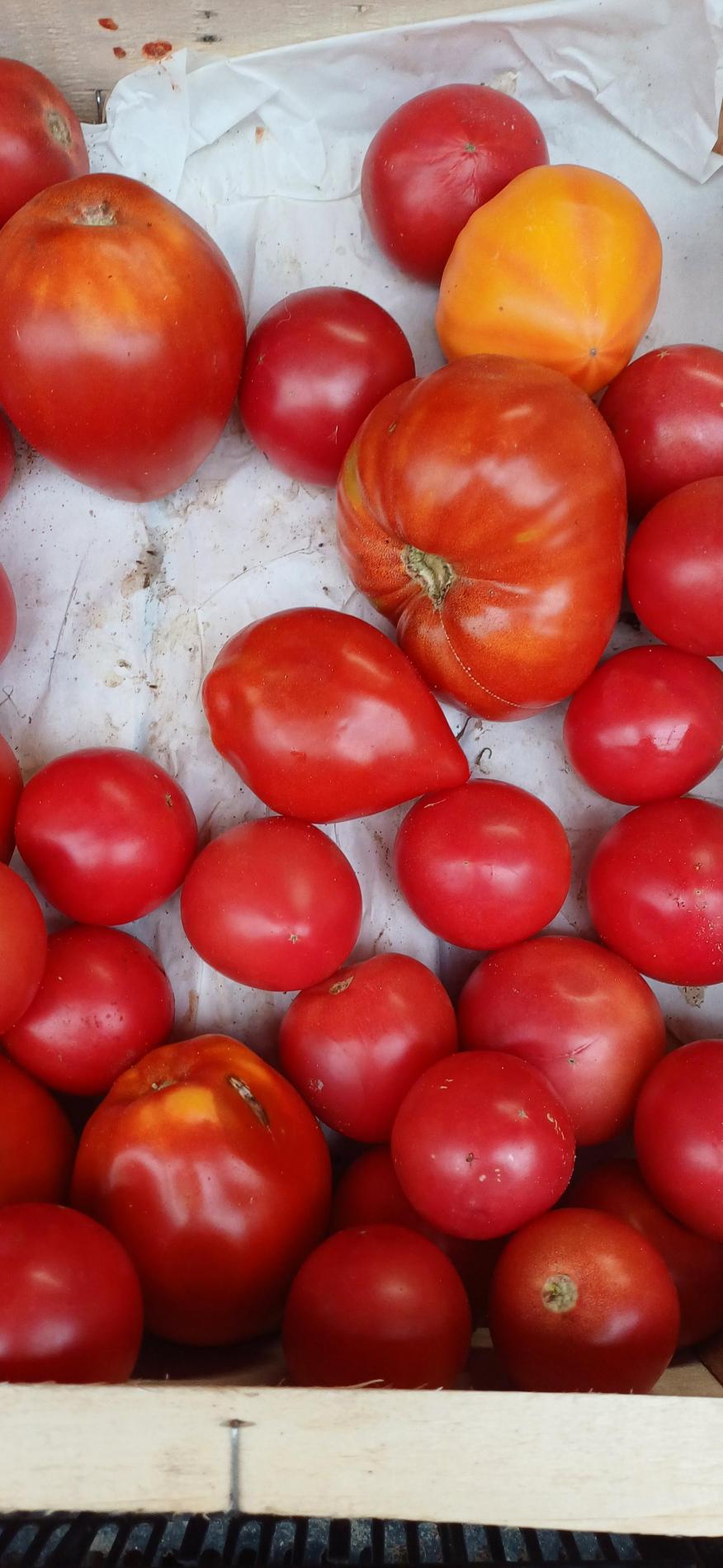 Citrouille et l&eacute;gumes frais