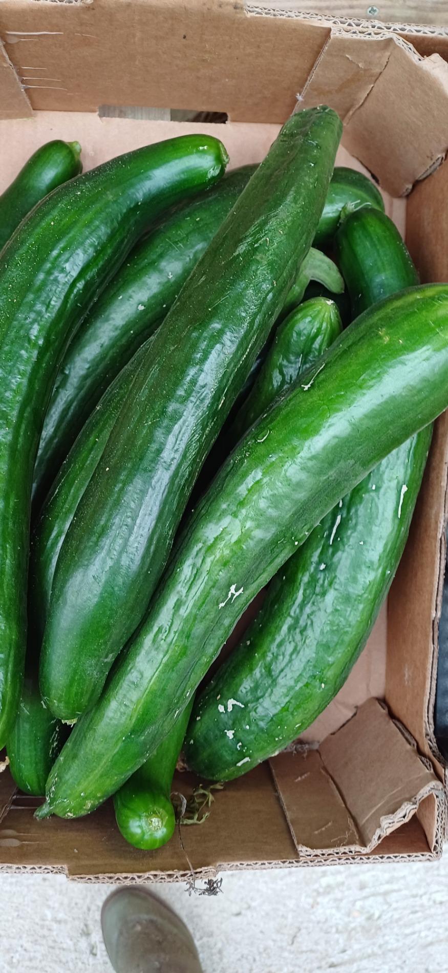 Citrouille et l&eacute;gumes frais