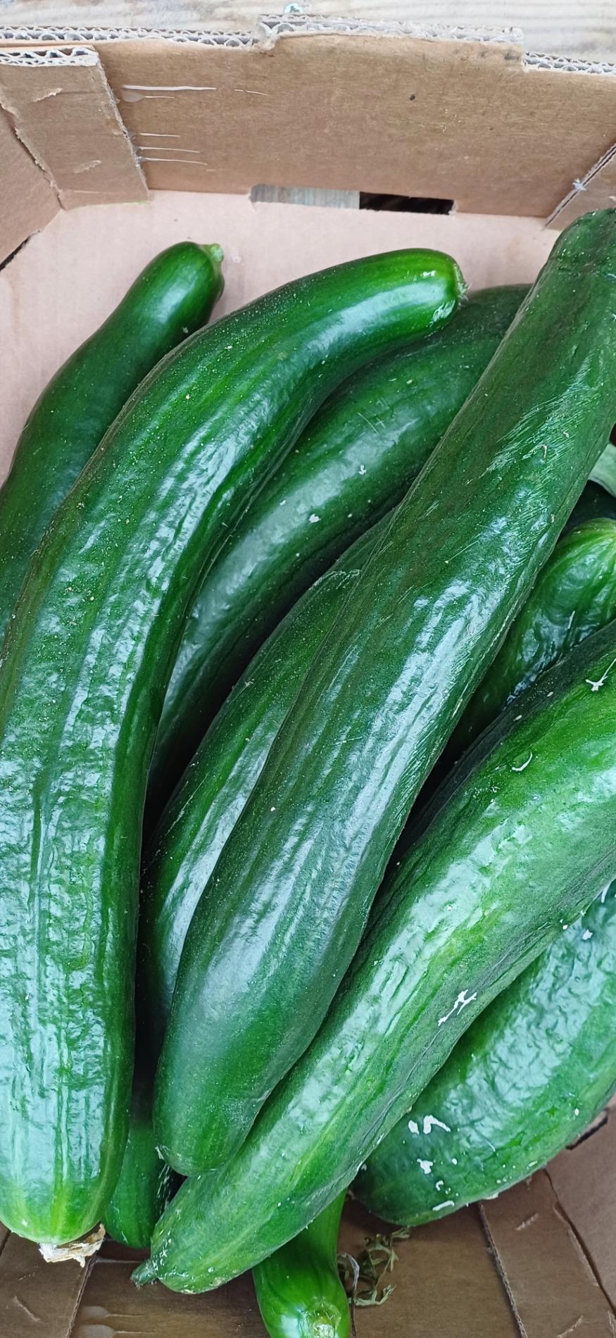 Citrouille et l&eacute;gumes frais