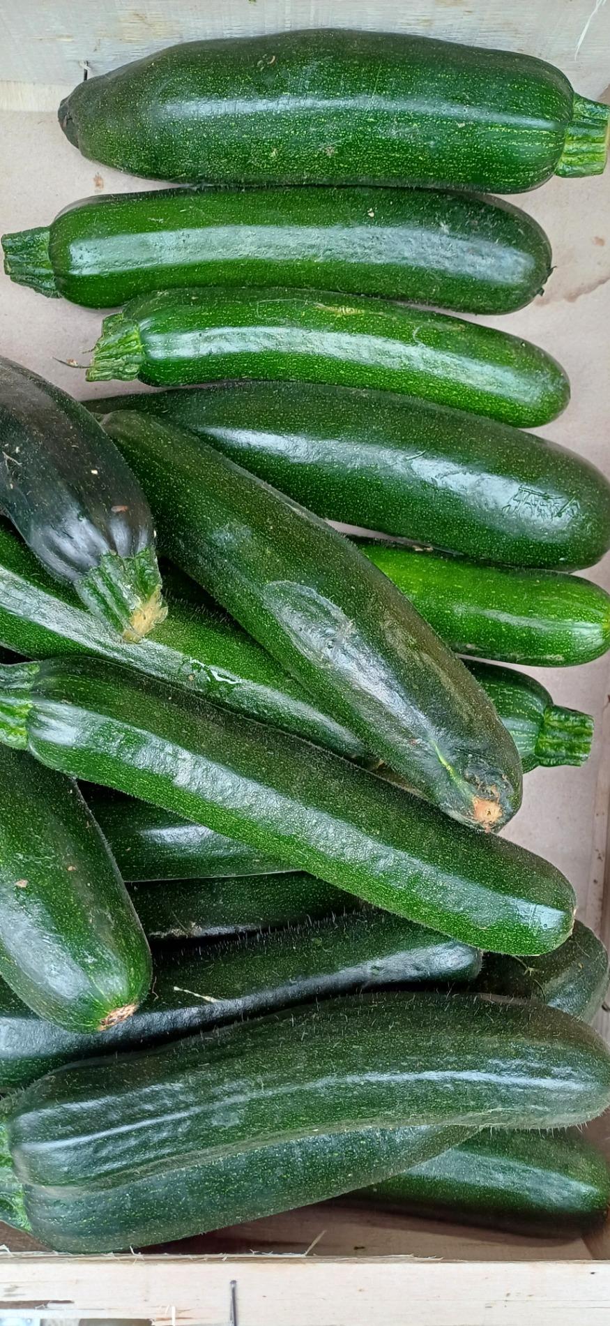 Citrouille et l&eacute;gumes frais