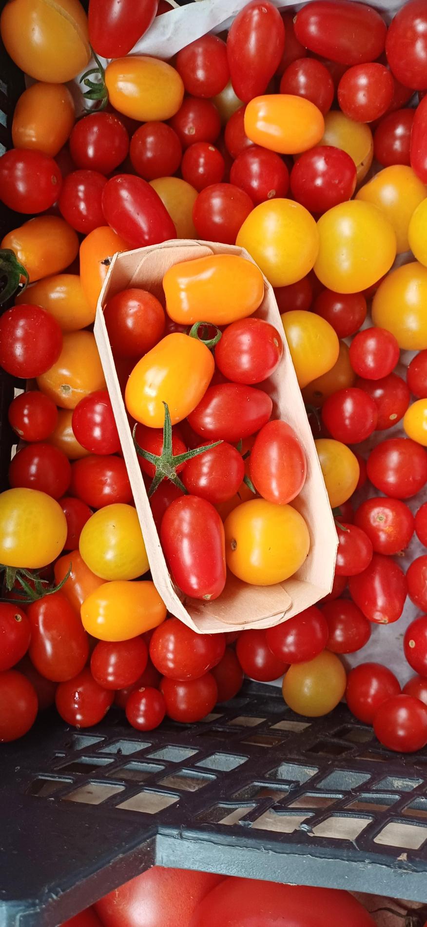 Tomates