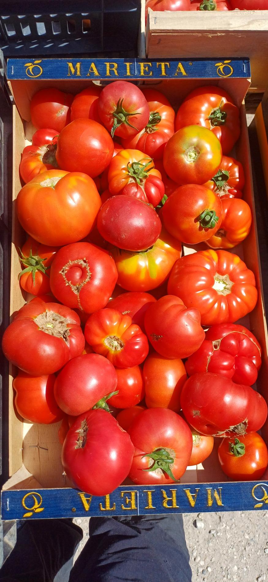Tomates