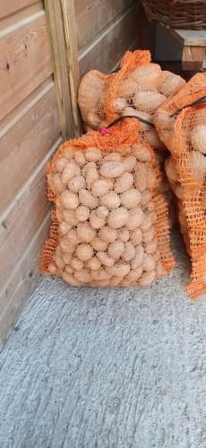 Pomme de terre  filet 5kg