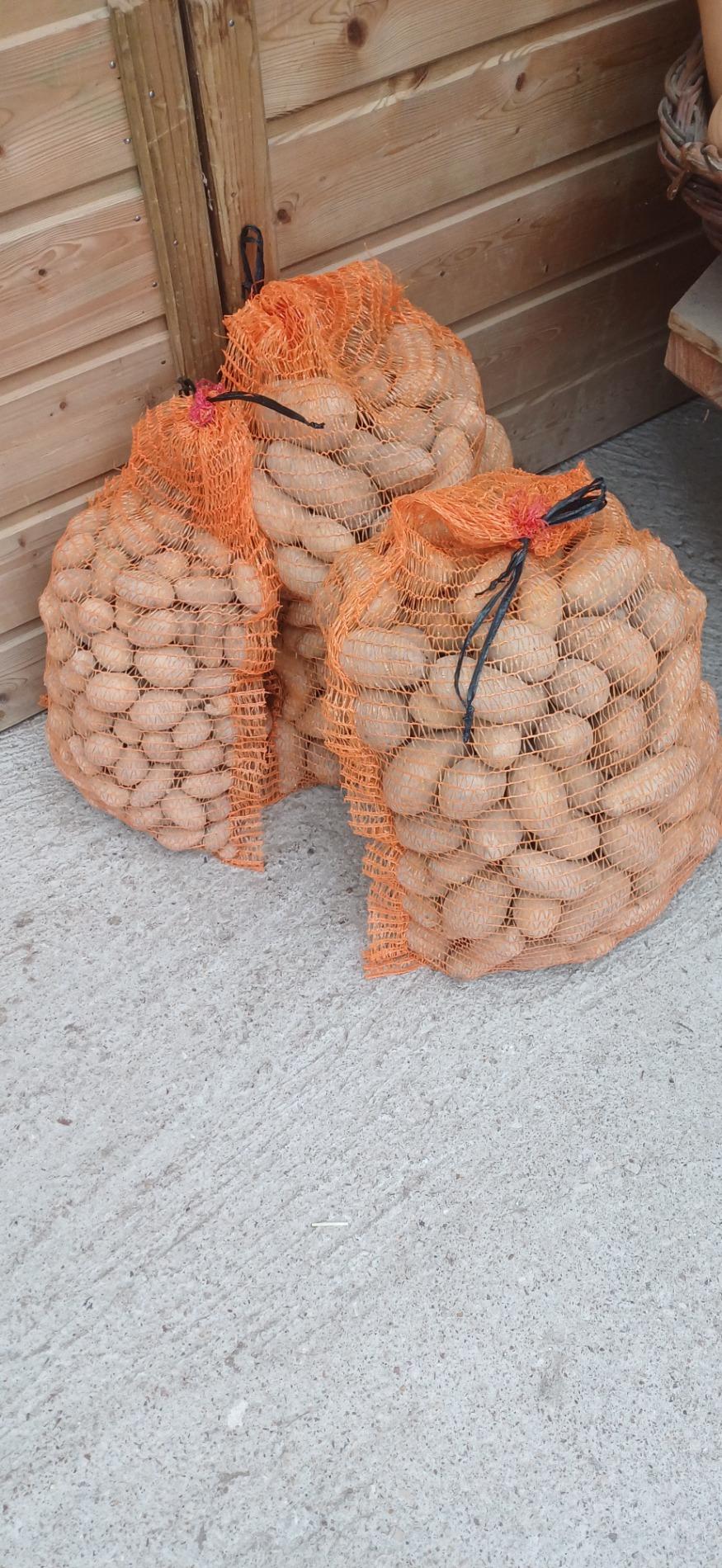 Pomme de terre filet 10kg