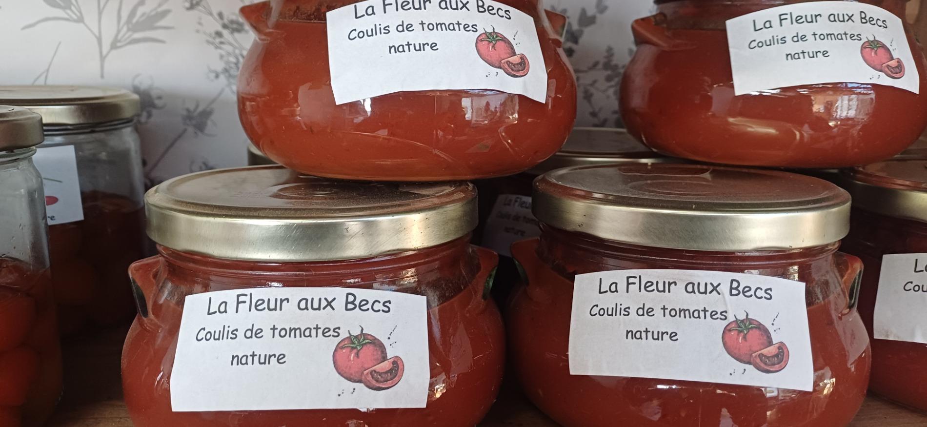 Sauce tomates nature